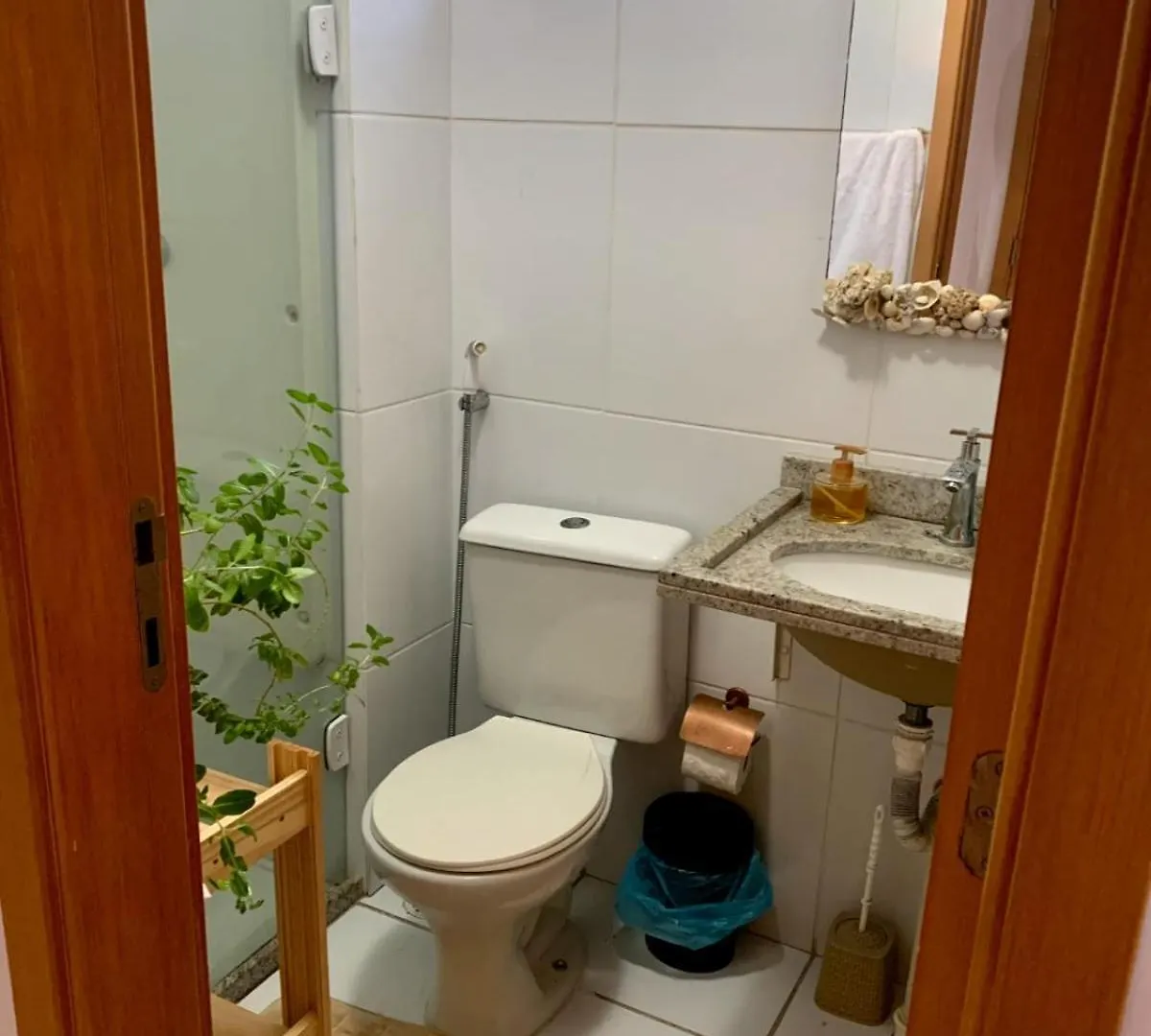 Apartamento Apto Aconchegante E Moderno Recife